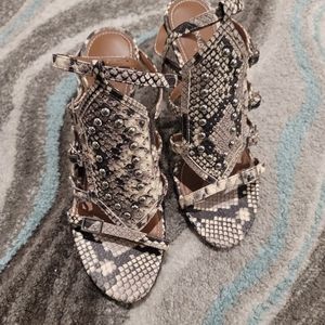 Donald J. Pliner shoes.